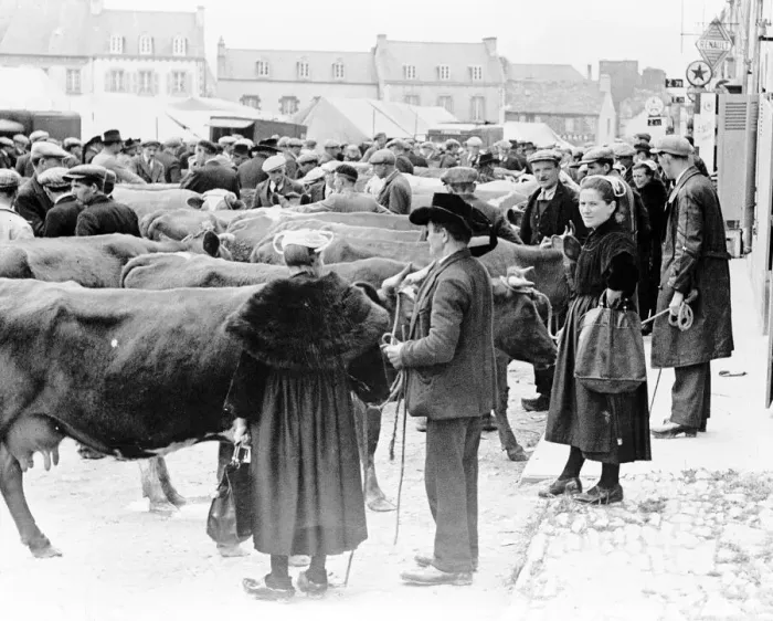 Framed Print : French Women farmers at market day in Playden, Brittany, France. 1938 Framed Print : French Women farmers at market day in Playden, Brittany, France. 1938