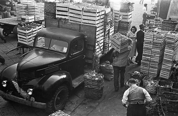 Fresh produce is off loaded at a Milan market. Circa 1955