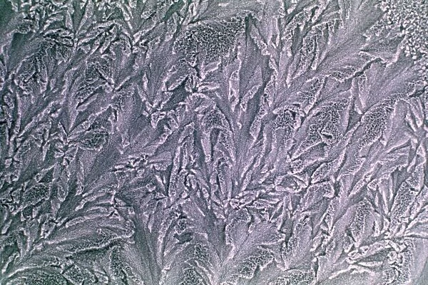 Frost Effects May 1976