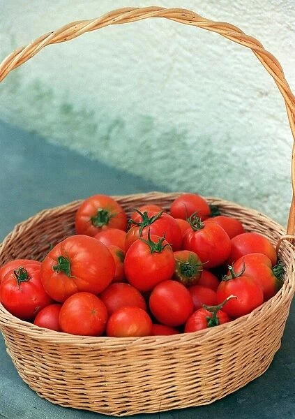 Fruit Tomato Tomatos Italian fresh picked in Basket