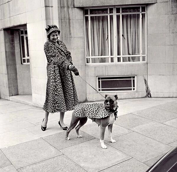Fur coats for dogs - lady and her boxer dog wearing matching fur coats September