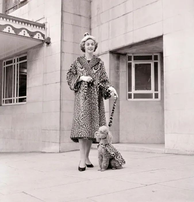 Framed Print : Fur coats for dogs - poodle and owner wearing matching fur coats September 1957 Framed Print : Fur coats for dogs - poodle and owner wearing matching fur coats September 1957