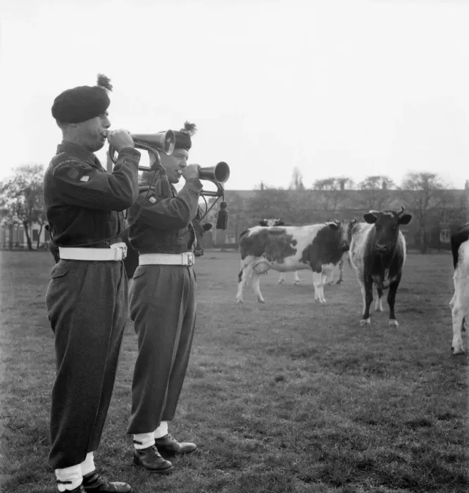 Framed Print : Fusiliers McGinty and Swaddle at practise on the local moor. May 1953 D2454 Framed Print : Fusiliers McGinty and Swaddle at practise on the local moor. May 1953 D2454