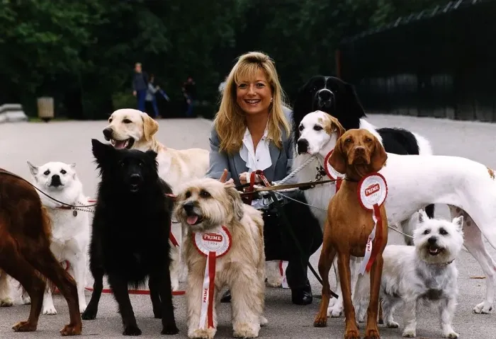 Framed Print : Gaby Roslin TV Presenter with dogs who feature on the 1994 Prime dog food calendar in Framed Print : Gaby Roslin TV Presenter with dogs who feature on the 1994 Prime dog food calendar in