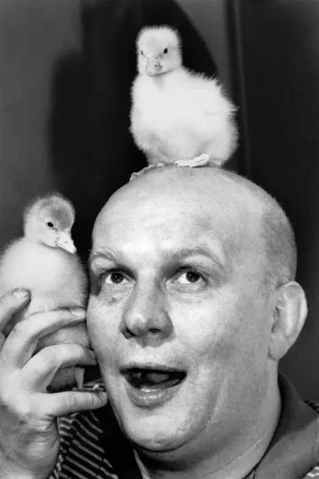 Framed Print : Anything for a gaggle. Screenwriter Brian Glover has geese on the brain