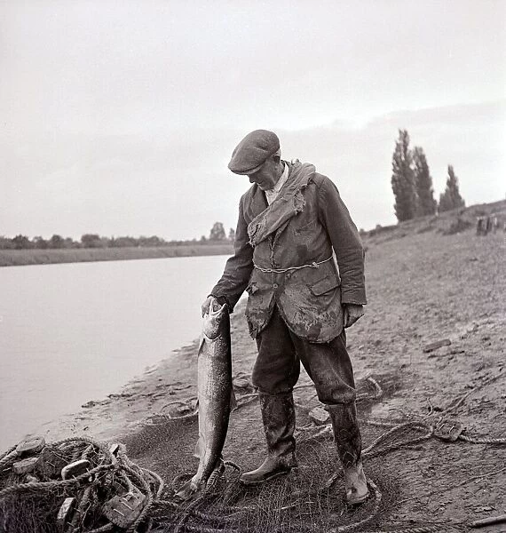 A Gamekeeper holding a Salmon, circa 1935