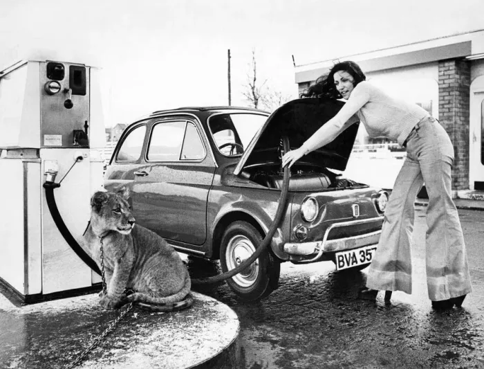 Framed Print : Garage owner Mr. Tom Gillespie has rather an unusual watch dog in the forecourt of his Framed Print : Garage owner Mr. Tom Gillespie has rather an unusual watch dog in the forecourt of his