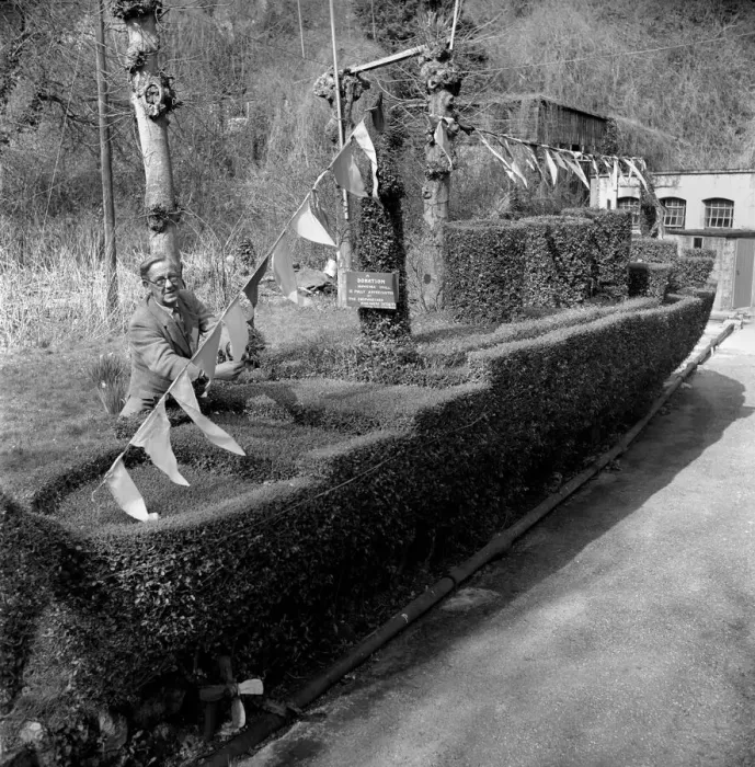 Framed Print : Garden: Humour: J. B. White of Ventnor Isle of Wight with his hedge trimmed like
