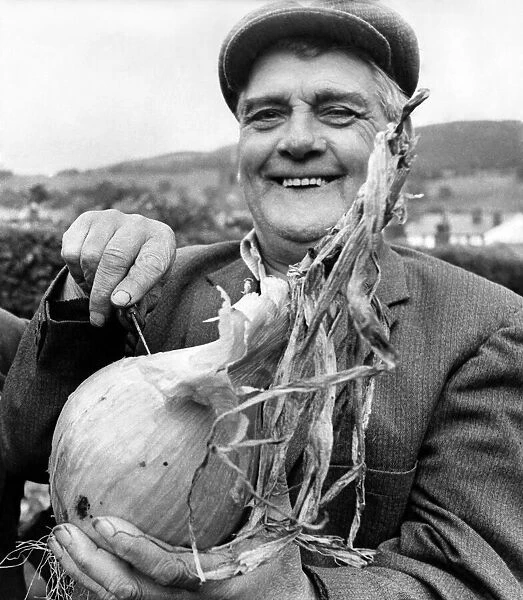 Gardener seen here showing off his prize onion. 11th October 1973