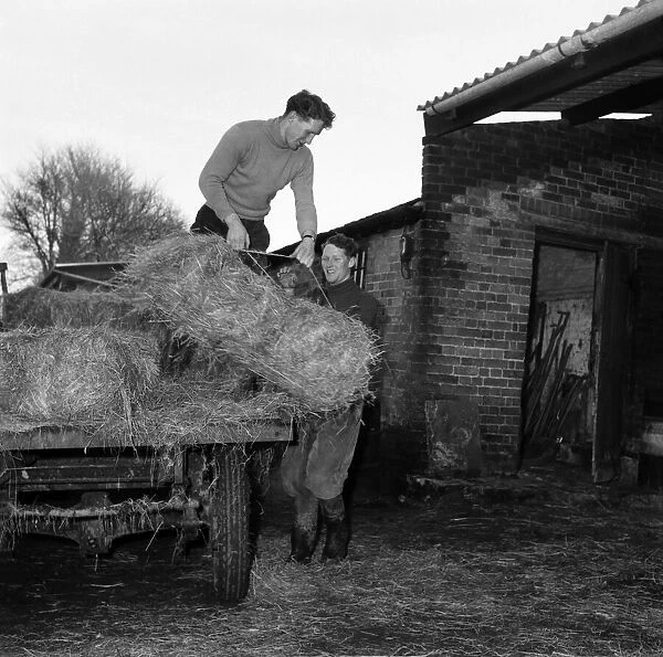 General Farming scenes at Hill Park Farm, Kent, Sunday 15th February 1953