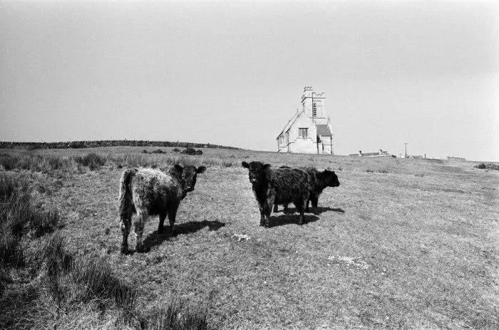 Framed Print : General scenes on Lundy Island. Lundy is the largest island in the Bristol Channel Framed Print : General scenes on Lundy Island. Lundy is the largest island in the Bristol Channel