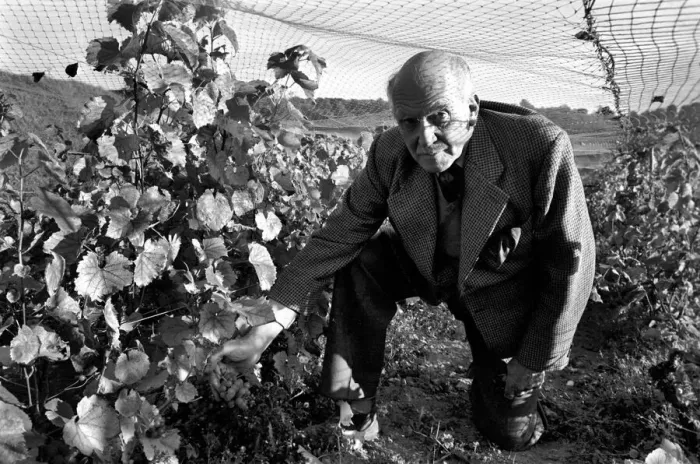 Framed Print : General Sir Guy Salisbury Jones has been producing wine from his own vineyards