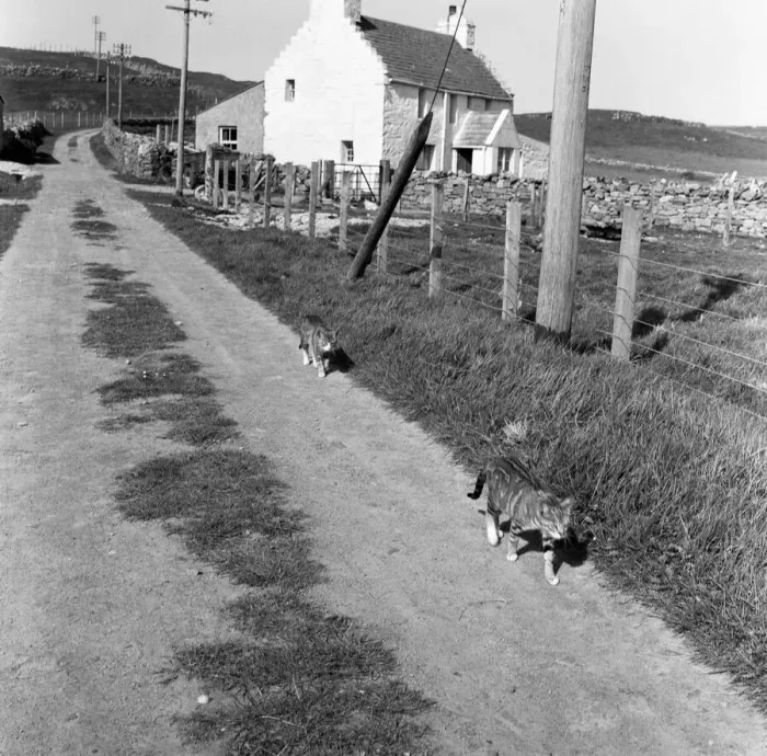 Framed Print : General view of Fair Isle, Scotland. 22nd June 1964