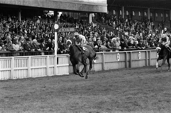 General view of Redcar races. 1973