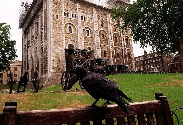 General view of the Tower of London and a Raven