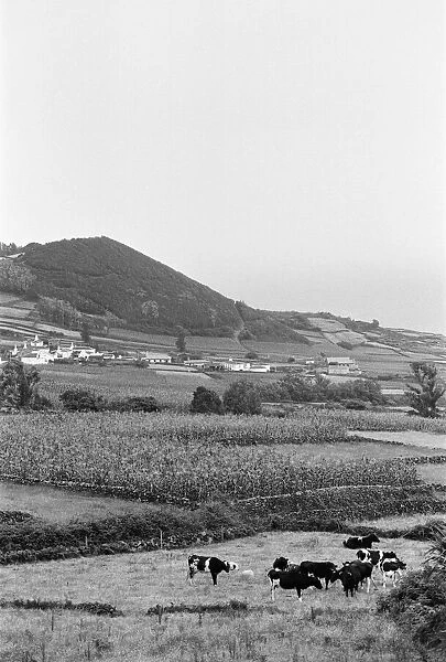 General Views of Terceira Island, in the Azores archipelago, North Atlantic