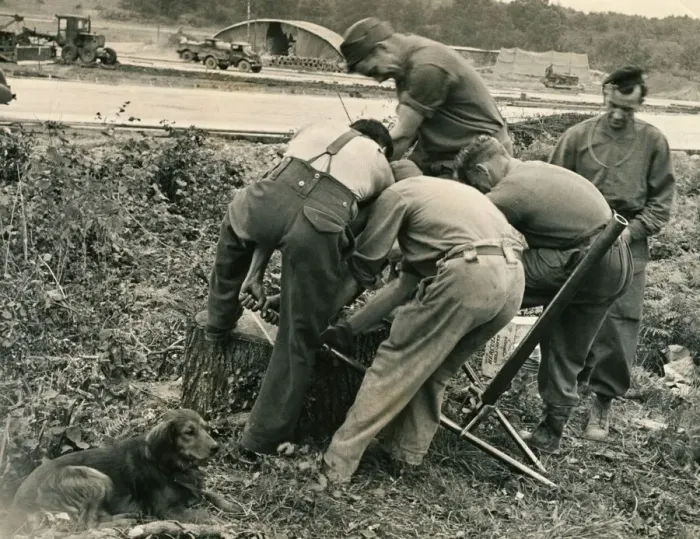 Framed Print : George the mongrel dog attached himself to the Canadian Royal Engineers who blast huge