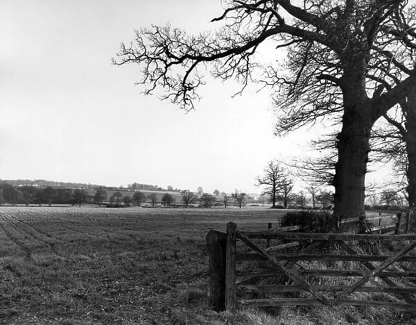 Gibbet Hill from centre of site. 28th April 1964