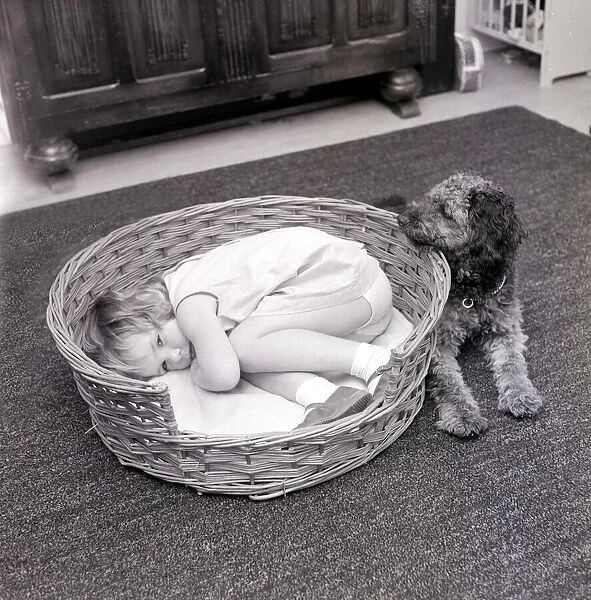 Girl curled up in dogs basket