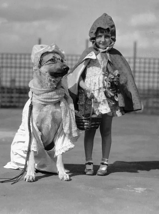 Framed Print : Girl and Dog dressed up as little red riding hood and wolf. 15th June 1935