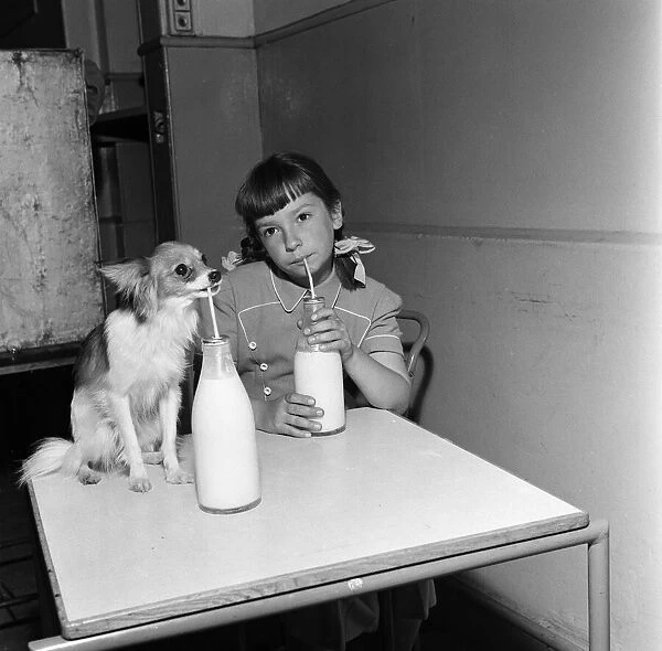 A girl drinking milk through a straw with her pet dog. 15th September 1954