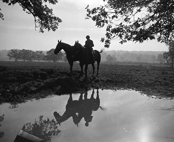 Girl exercising horses at sunset in the 1930 s