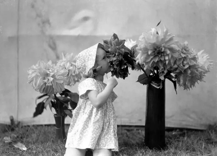 Framed Print : Girl and flowers. 1st June 1935