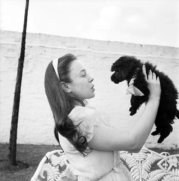 Girl holding up a cute poodle dog. June 1960 M4460-001