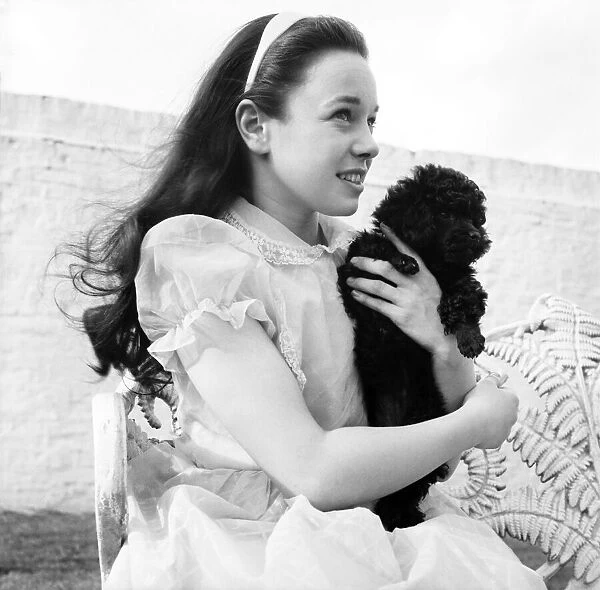 Girl holding a cute poodle dog. June 1960 M4460-003