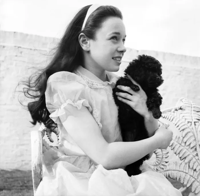 Framed Print : Girl holding a cute poodle dog. June 1960 M4460-003 Framed Print : Girl holding a cute poodle dog. June 1960 M4460-003
