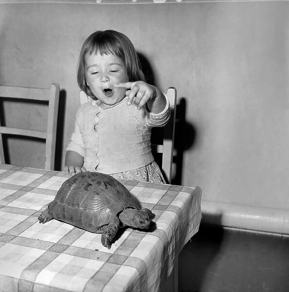 Girl named Rita with her pet tortise, at the Springdale Nursery, Stoke Newington