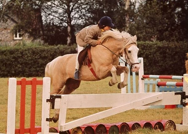 A girl rides hers horse over one of the jumps during Gymkhana at Luddesdown