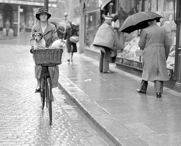 Girl riding on a bicycle carring a dog and a cat in a basket circa 1940s