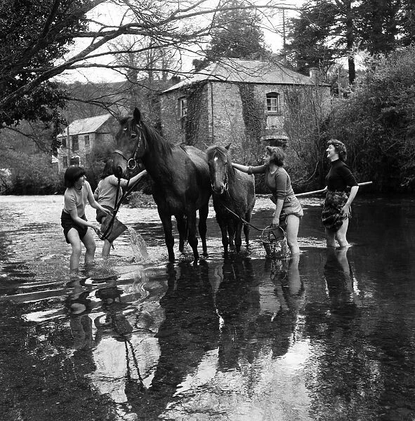 Girls washing horses at Notter Farm, Cornwall. 28th April 1952