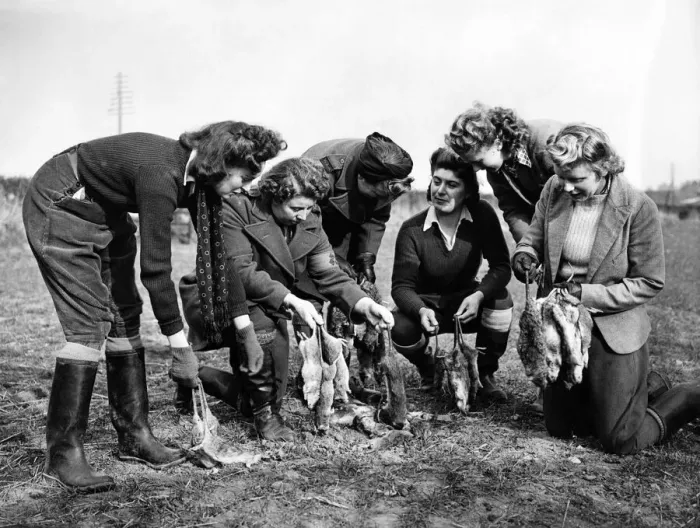 Framed Print : Girls of the Womens Land Army (Pests Department) are emplyed in S Framed Print : Girls of the Womens Land Army (Pests Department) are emplyed in S