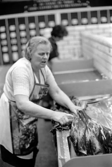 Framed Print : Glasgow Steamies. General scenes of women doing the laundry in a steamies in the Gorbals Framed Print : Glasgow Steamies. General scenes of women doing the laundry in a steamies in the Gorbals