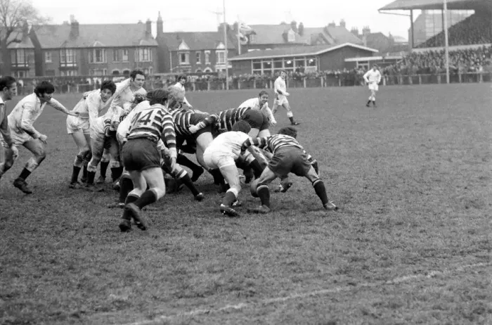 Framed Print : Gloucester v Somerset Rugby Union. January 1972. Somerset forwards attack the Gloucester