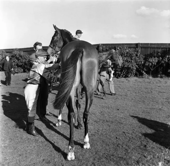 Framed Print : Gordon Richards at Kempton Park. April 1953 D1717-003