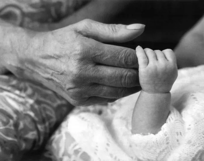 Framed Print : Grand Mother and Grand Daughter Hands Generations old and new Framed Print : Grand Mother and Grand Daughter Hands Generations old and new