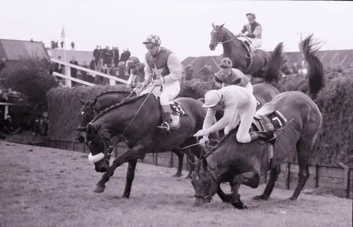 Framed Print : Grand National 1969 Kilburn No 7 stumbles and throws his jockey T Carberry