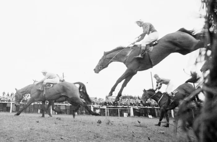 Framed Print : Grand National 1969 Kilburn No 7 stumbles and throws his jockey T Carberry