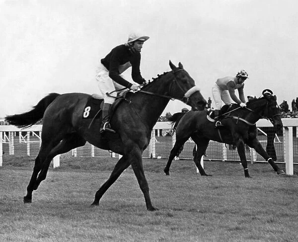 Grand National, Aintree, at the post. Its a close finish as Red Rum (Left