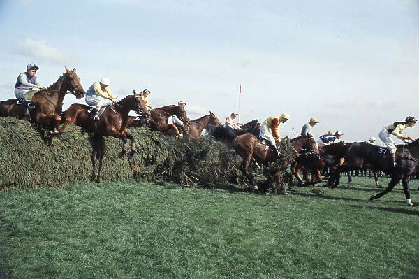 Grand National Horserace held at Aintree, Liverpool. Eventual winner Red Alligator