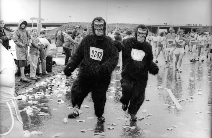 Framed Print : The Great North Run 27 June 1982 - A pair of gorillas monkey about Framed Print : The Great North Run 27 June 1982 - A pair of gorillas monkey about