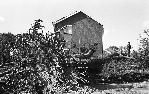 The Great Storm of 1987 - The night of the 15th-16th October - Stories from the Surrey