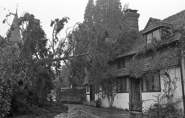 The Great Storm of 1987 - The night of the 15th-16th October - Stories from the Surrey