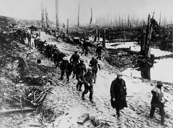 The Great War, ( First World War, WW1, World War One ). Mud, lice, desolation