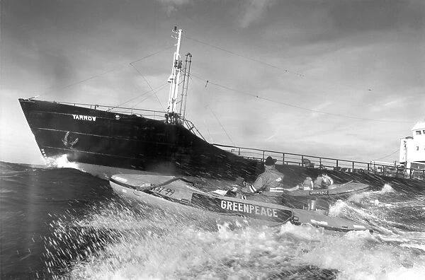Greenpeace protesters alongside the wast dumping ship Yarrow in October 1987