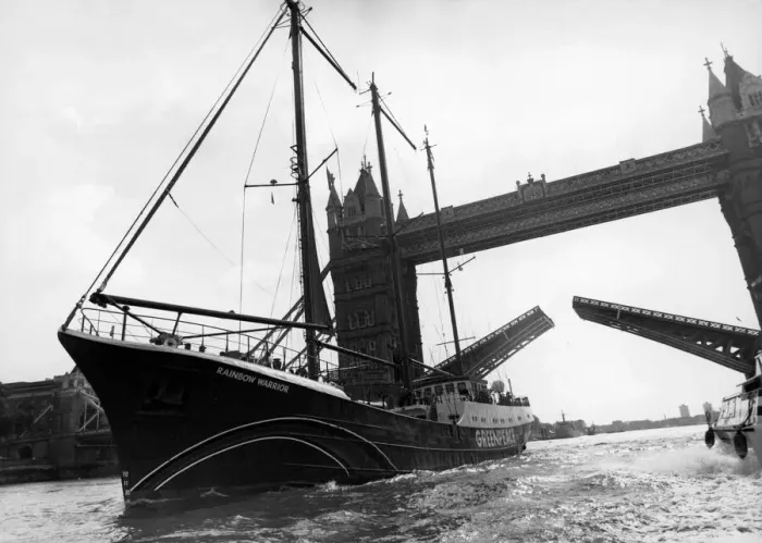 Framed Print : The Greenpeace ship Rainbow Warrior passes beneath Tower Bridge Framed Print : The Greenpeace ship Rainbow Warrior passes beneath Tower Bridge