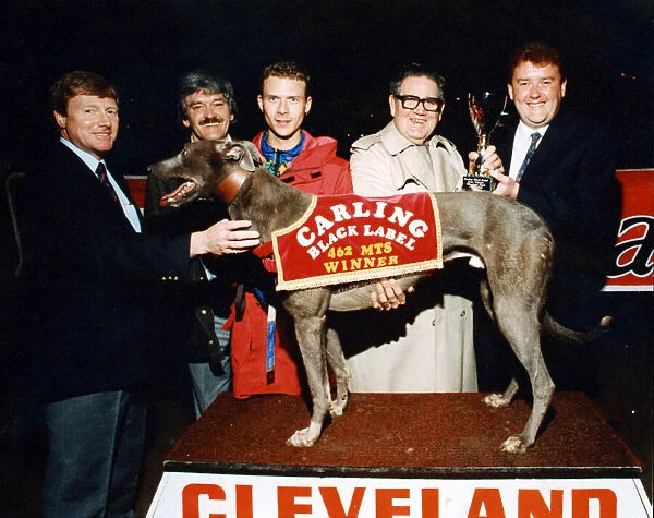 Greyhound 'Movealong Sam'is on the rostrum after winning Cleveland Park
